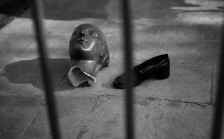 Prison harmonieuse, 1938